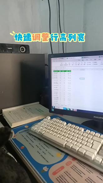快速调整行高和列宽#电脑 #工作 #计算机 #学习vlog打卡 #笔记本电脑