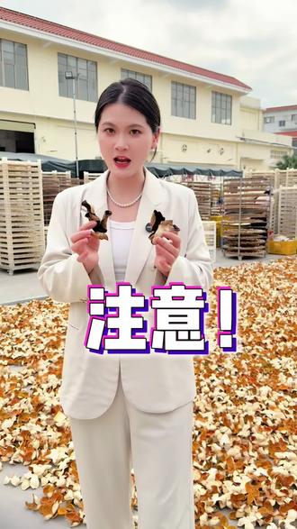 央视曝光陈皮造假骗局!这种陈皮有什么危害?如何辨别?#央视曝光30天速成陈皮 #陈皮 #你买的陈皮可能是贴牌的 #假陈皮#新会陈皮