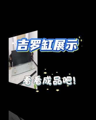 吉罗缸成品展示! 最近有点忙没更新,给家人们看下我的缸已经装好了哦,效果不错我很满意!#吉罗鱼 #吉罗缸