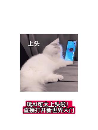 直接换掉星野和猫箱#星野 #猫箱 #梦女向 #ai聊天