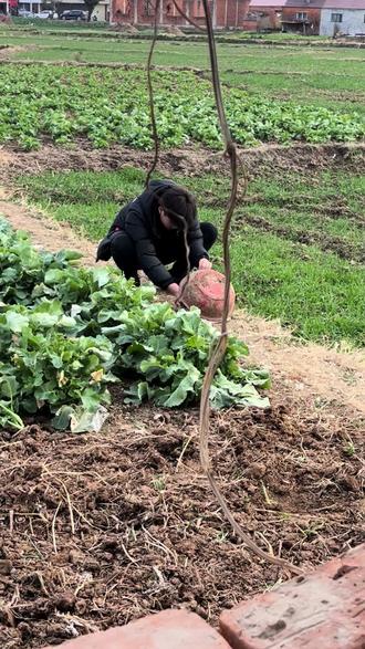 我讲没吊事就没吊事!#回村的生活 #安徽 #霍邱 #安徽方言