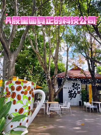 A股里面真正的科技公司#a股 #科技 #旅行推荐官 #弥勒 #学习