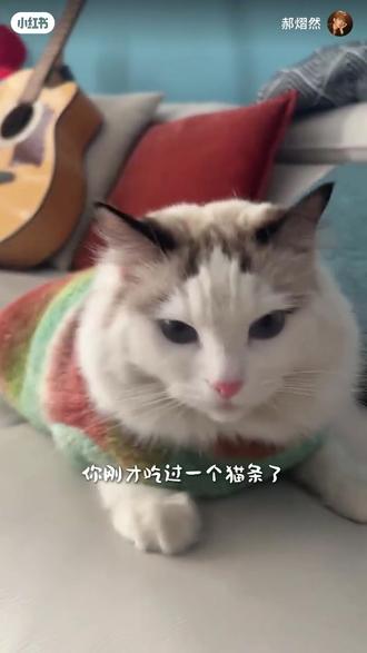 @墨宇紫竹#郝熠然 豆芽好漂亮😍