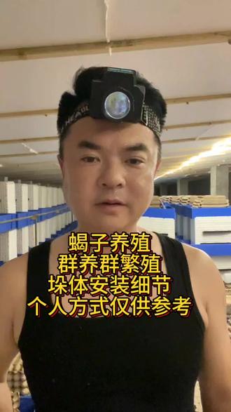 #蝎子养殖#三农养殖#农村创业养殖#抖音助农
蝎子养殖群养群繁殖垛体摆放细节