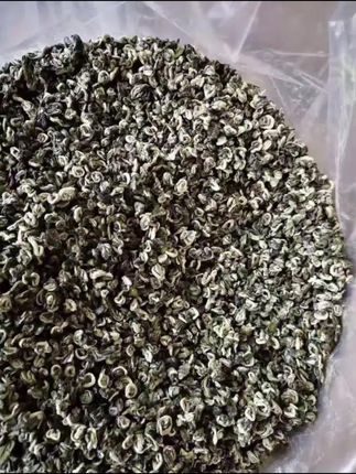 【张哥推荐】云南绿茶碧螺春大叶种绿茶云南绿茶#云南茶叶推荐#春茶#绿茶#碧螺春#茶生活 @抖音小助手 @DOU+好生意
