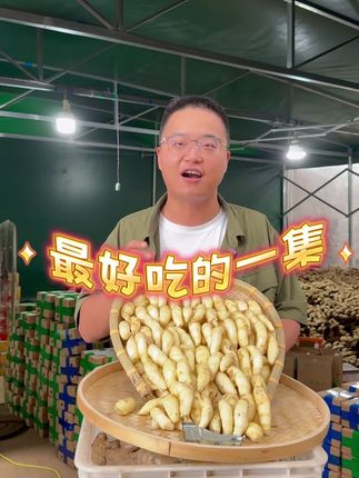 清晨刚从菜园里挖出来的嫩姜芽,还沾着湿漉漉的泥土,带着一股子原生态的鲜。薄皮轻轻一撕就掉,露出的嫩肉像玉一样温润,捏一下,饱满的汁水仿佛要溢出来。#抖音助农 #强烈推荐 #源头好货 #农产品 #新农人计划
