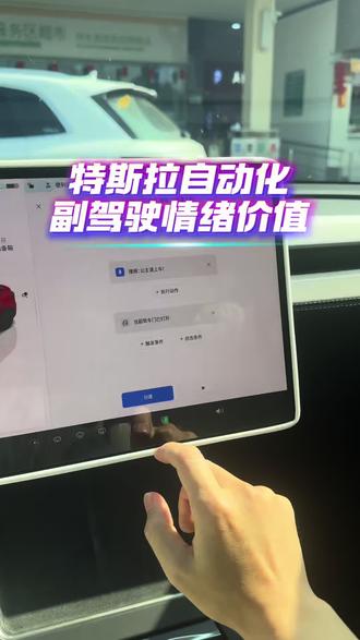 解答大家问的,副驾驶情绪价值拉满!#特斯拉 #特斯拉自动化 #特斯拉情绪价值 #副驾驶