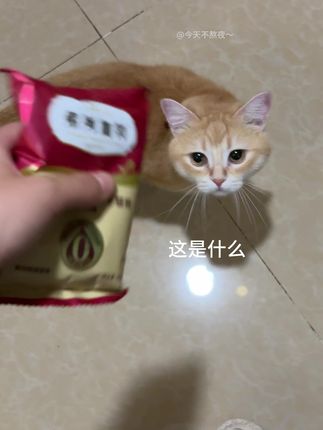 抓住一只小馋猫~ #记录猫咪日常 #弗列加特#猫粮 #弗列加特牛奶冻干 #小馋猫