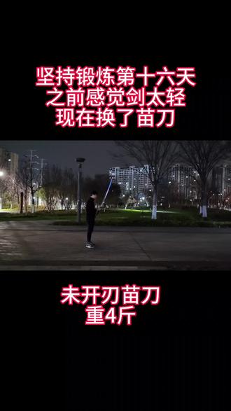 未开刃苗刀,重量4斤,一般人还真用不了,真的#苗刀 #舞术 #坚持锻炼给自己一个好身体