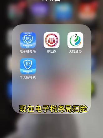 老板们银联认证都做完了吗#会计 #税务 #电子税务局 #财务 #财务人