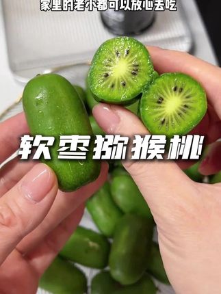 这个号称维c小炸弹的软枣猕猴桃,一年就这一季,全家老小都抢着吃,不用剥皮,清甜可口软糯 一口爆汁!#新鲜应季水果 #软枣猕猴桃 #宝宝爱吃