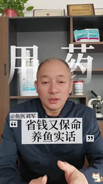 省钱又保鱼的用药要点你知道吗?四十年鱼医教你怎样用药#水产养殖技术#鱼病防治#鱼药 #鮰鱼鲈鱼 #池塘养鱼