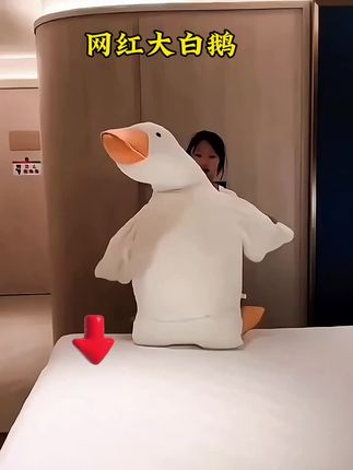 刚入手的新宠,它会默默陪伴你身边,给你暖暖的拥抱。#大白鹅毛绒玩具 #毛绒公仔 #大鹅 #玩偶 #大白鹅抱枕
