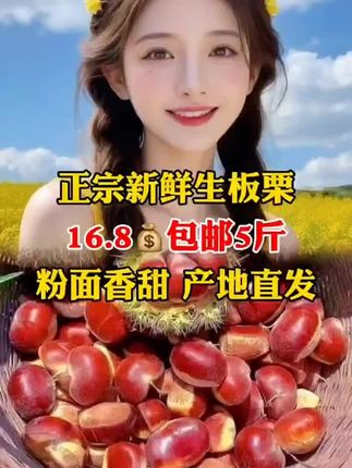 #丹东板栗 #新鲜现摘 #板栗子 #好物分享