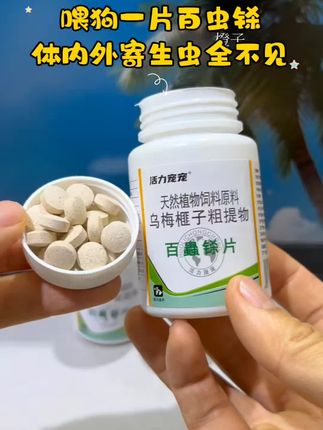 #小狗的迷惑行为 #狗狗的心思都写在脸上了 #狗狗 #萌宠出道计划 #萌宠