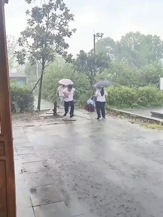 自驾旅行 老人必备😅 #折叠旅行车 #自驾必备