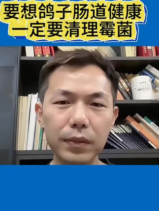 要想鸽子肠道健康一定要清理霉菌#信鸽赛鸽#肉鸽养殖#新疆翻翻鸽#鸽子养殖技术#鸽子霉菌