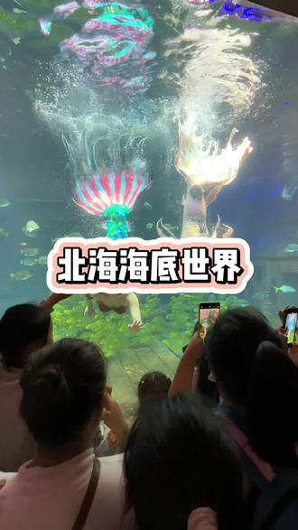北海海底世界六一活动,学生票仅需84元,不管你是大学生或中学还是小学生,只需凭学生证购票入馆!#海底世界 #周末去哪玩 #六一儿童节 #亲子游玩好去处 #小十推荐