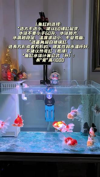 作为从新手一路打怪升级过来的养鱼佬,踩了无数雷区,积累了一些经验,有很多话想说,想出个合集,分享给想要入坑或者刚入坑养泰狮的鱼友们。希望你们少走弯路,一步到位,养的开心养的省心。#养鱼日记 #空气缸 #百褶泰狮 #养鱼干货
今天,来说说“基础设备的选择”。
1.鱼缸的选择:
*选大不选小,建议60裸缸起步,水体不要小于60升,水体越大,水质越稳定,温度波动小,不容易崩;
*选直角超白玻璃缸,选长方形或者方形的,观赏性和水循环好,不建议热弯缸(易爆)。
*鱼缸水体计算公式(升):长*宽*高/1000
2.过滤设备:
过滤是鱼缸的心脏。
养泰狮适合的过滤:底滤>周转箱>上滤滴流盒。
如果用滤桶,需要搭配一个前置过滤桶进行物理过滤,主桶负责生化过滤。
不推荐内置过滤器(水妖精、三合一泵)、壁挂过滤、瀑布过滤等小型过滤,带不动泰狮这种能吃能拉的金鱼。
3. 加热棒:
鱼鱼就怕的就是温度的波动,所以不管是热带鱼还是广温鱼,都建议使用加热棒进行控温。
*功率选择:宁大勿小,按水体大小4倍来选。变频大功率的更省电!
*建议购买防爆的、市场口碑好的品牌,防止煮鱼悲剧。
*放主缸或水泵仓,完全浸入水中使用。
4.鱼缸照明灯:
*作用:能增强金鱼色彩观赏性;有助于金鱼发色;促进缸中藻类的生长。
选择 “全光谱” 和 “高显色(CRI>90)”的防水级可调光款led灯。可玩性强,对场景适用性广。
*开启时间:建议每天固定开启6-10小时。需要爆藻的可视情况增长开灯时长。
*安装位置:安装在鱼缸正上方。
5.增氧泵:
养泰狮来说,氧气泵强烈建议常备一个,能在多种情况下使用:
高密度饲养、夏季高温水中溶氧量下降、新鱼到家或治疗鱼病、停电等情况下都需要增氧泵。它在关键时刻就是鱼的“救命神器”!
*建议选市场口碑好的,静音交直流充电气泵。
*瓦数:按水体1.5-2倍大小的出气量,选择对应瓦数,宁大勿小!
6. 必备小工具:
*温度计:实时监控水温。
*捞渔网:选大不选小,选软网的,不伤鱼鳞。
*换水管:软管选粗的,宁长勿短。
*水质测试剂:开缸必备!推荐买盒装滴剂(测氨氮、亚硝酸盐、硝酸盐、PH),不推荐买几合一的测试纸,很大概率测不准。
*硝化细菌:帮助快速开缸,建立硝化系统。不要贪便宜买到假货,选市场口碑好的品牌款。