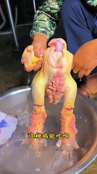 这种鸡能吃吗?有些鸡肉千万不要吃发现要丢掉#新农人计划 #食品安全 #家禽养殖 #鸡 #我要上热们