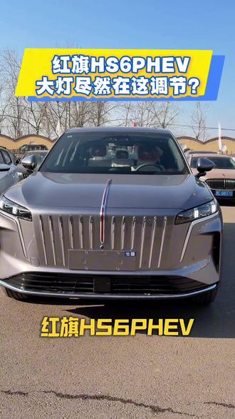 #红旗HS6PHEV上市 #大五座新标杆 #新一代的红旗 #更好的大五座