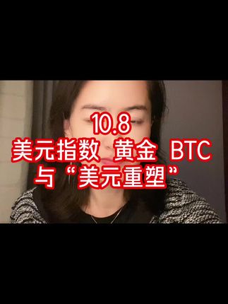 10.8  正在推进的“美元重塑”