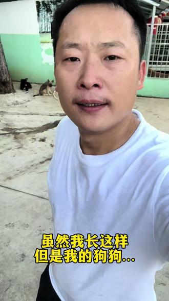 拒绝随意弃养,用爱终结流浪#流浪狗救助 #尊重生命
#毛孩子也是孩子