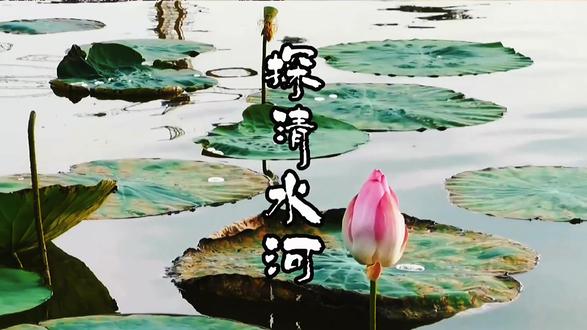 #热门话题🔥 #张云雷 #太平歌词 #海外生活 #民族风 太平歌词,中国文化