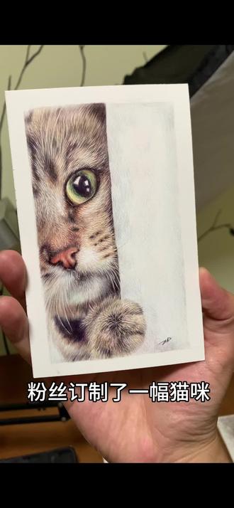圆珠笔画 10色圆珠笔猫咪#宠物画像#圆珠笔画#素描#猫咪