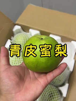 脆嫩鲜甜细腻无渣,翠冠梨砀山产地#翠冠梨#青皮蜜梨