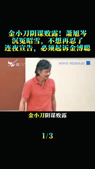 金小刀阴谋败露!萧旭岑沉冤昭雪,不想再忍了,连夜重磅宣告,必须起诉金溥聪!#台海时刻 #台海观察 #台海百家说 #时事热点 #时事评论