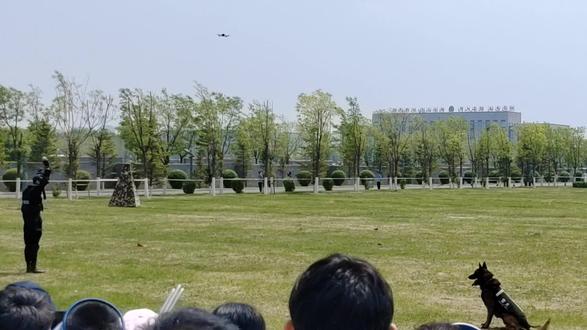 见过这份热血与担当,才懂心中向往有多强烈,若岁月可回头,必定全力以赴,将热爱化作信仰,身披荣光守护万家平安💙#中国刑事警察学院校园开放日 迅猛扑击、精准擒敌,动作干脆利落,满满安全感👍