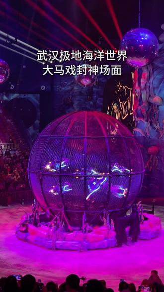 感谢湖北文旅消费券
让我看到了极地海洋世界大马戏
令人惊叹的“环球飞车”表演
当第五辆摩托车进入时,我以为是极限了
可当第六辆进入后,简直封神!
😱😱😱😱👍👍👍👍
#大马戏 #环球飞车 #武汉极地海洋公园 #极限运动 #湖北消费券