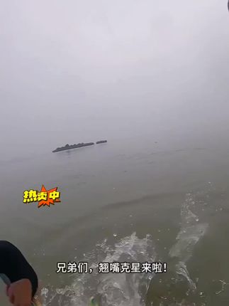#钓鱼 #钓鱼的乐趣只有钓鱼人懂 #路亚 #垂钓 #钓鱼人