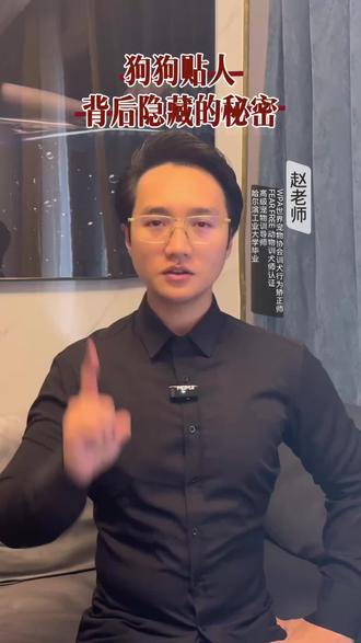 它总爱“压”在你身上?这可能比“拥抱”更高级!(严谨解读版)#养宠 #养狗经验分享 #养猫经验分享 #新手养宠 #养宠进阶指南