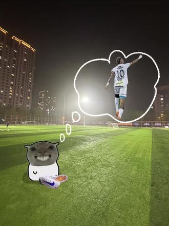 比赛前就这样幻想💭#抽象足球 #猫系足球