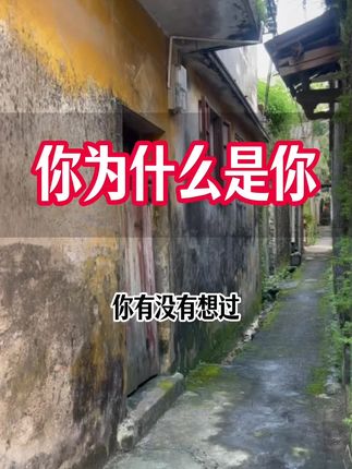 你为什么是你 你为什么是你