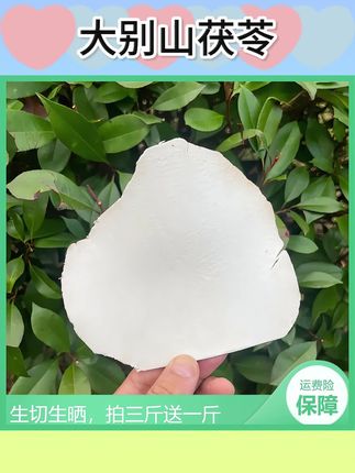 岳西茯苓大别山茯苓生切生晒茯苓精选大薄片四神汤色根色斑无硫#茯苓片 #茯苓片功效与作用 #岳西茯苓 #四神汤养脾胃 #生切茯苓