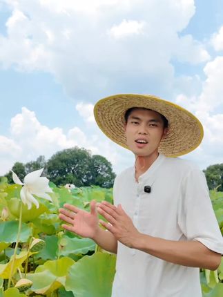 大山脚下生态种植自然生长,不打农药。吃的就是这一口新鲜#水果#水果莲蓬#莲子