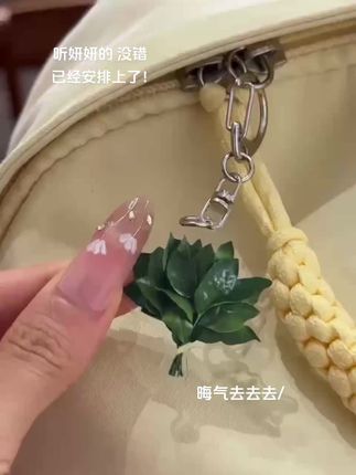 听妍妍的,也是安排上了,晦气走开,好运常来! #许妍同款柚子叶挂件安排上了 #柚子叶去晦气 #许我耀眼 #许妍