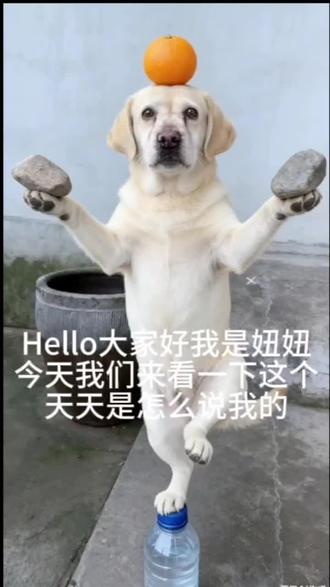 妞门永存@煮雨波 @煮雨波小助理_A #娱乐 #天天的妞妞