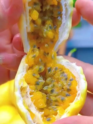 自然搭档 钦蜜9号黄金百香果新鲜当季1斤/2斤/3斤包邮香甜浓郁#这也太好吃了 #强烈推荐 #百香果