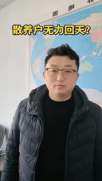 #三农 #养猪人 #猪价行情 老大老三强强联手,散养户无力回天???