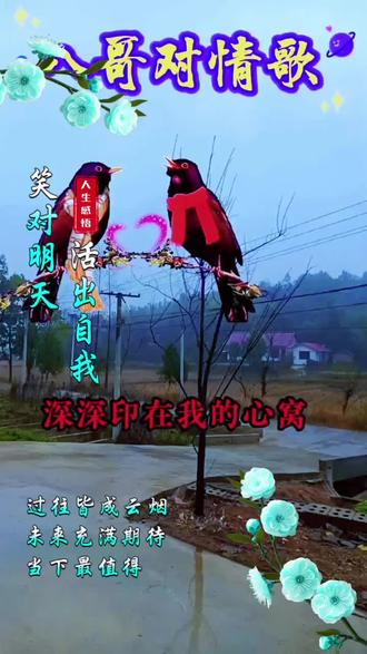 2026一3一2#民族乐器演奏