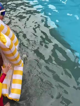 哇塞!这个#玩水神器 我咋没早发现、孩子们玩的可嗨了~#玩水的季节 #夏季玩水 #充气浮床