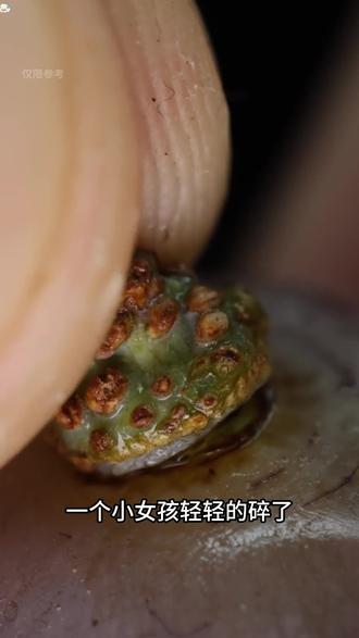 课代表:
1.近视-龙眼红枣决明子煮水
2.肥胖湿气重-华识茯苓膏
3.蛇缠腰-仙人掌捣烂
4.腰间盘突出-桑寄生煮水