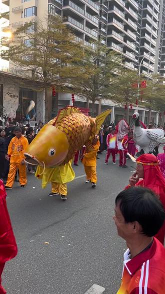 #非遗在身边 #潮汕民俗文化 #舞鹬蚌 #澄海动物武林大会 #舞金鱼 汕头澄海“动物舞林大会”闹春巡演,人山人海的现场,现在拍的这个是鹬蚌相争游艺表演