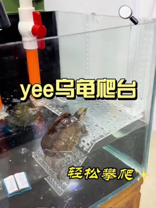 #好物推荐🔥 YEE乌龟晒台亚克力深水晒背爬台壁挂式透明爬梯高水位休息浮台#乌龟晒台 #爬台 #壁挂 #浮台