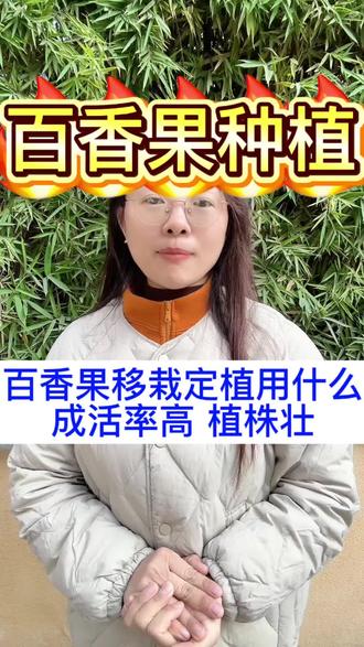 百香果移栽定植用什么,才能成活率高植株壮#百香果 #百香果种植 #百香果苗 ##百香果种植技术 #百香果管理