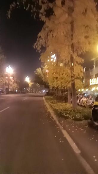 #路灯照明,每天天不见亮就出发大家早上好